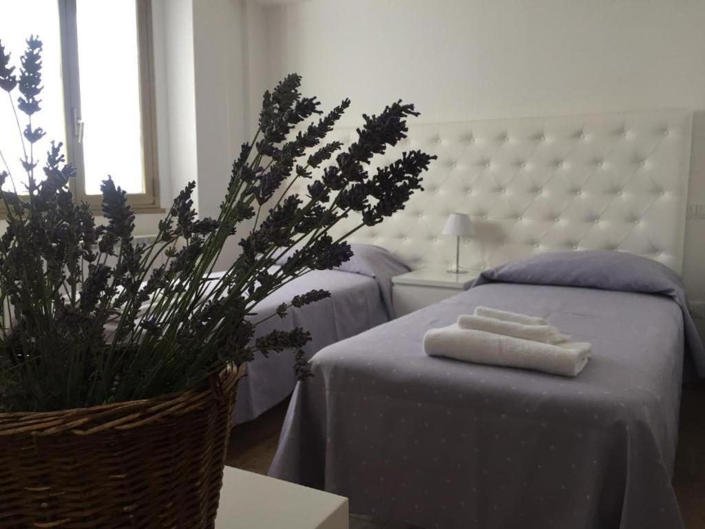 라킬라 Itaka B&B 외부 사진